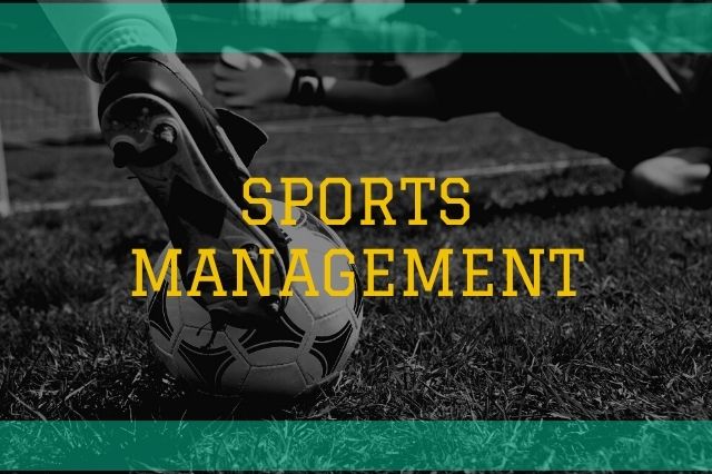スポーツマネージメントアイキャッチ